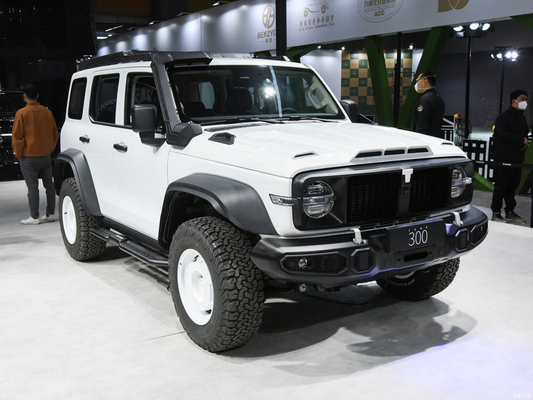 2023 GWM Fuego todoterreno 300 SUV Coche 2.0T Combustible de gasolina 4WD Equipado con faro LED
