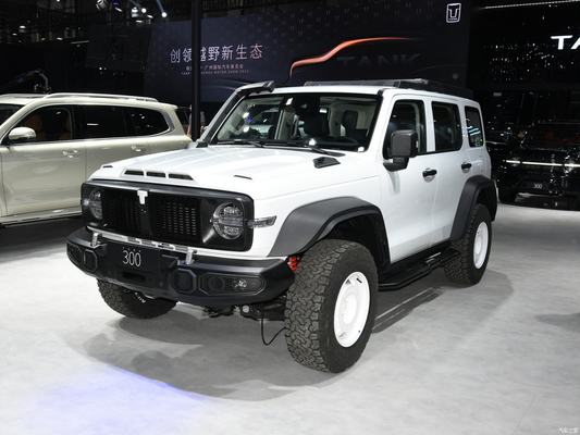 2023 GWM Fuego todoterreno 300 SUV Coche 2.0T Combustible de gasolina 4WD Equipado con faro LED